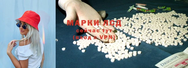 a pvp Дмитровск