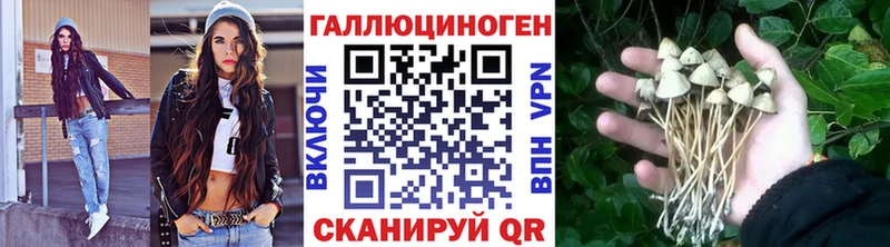 блэк спрут ТОР  Олёкминск  Псилоцибиновые грибы Psilocybine cubensis  дарнет шоп 